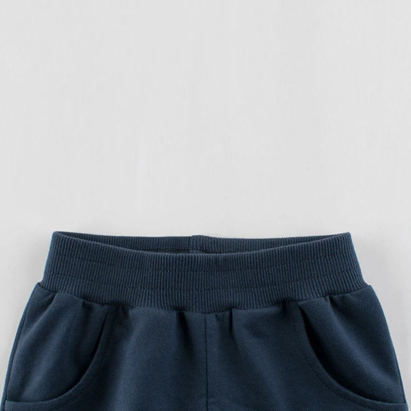 Dinosaurier Sommer Shorts für Jungen in verschiedenen Farben